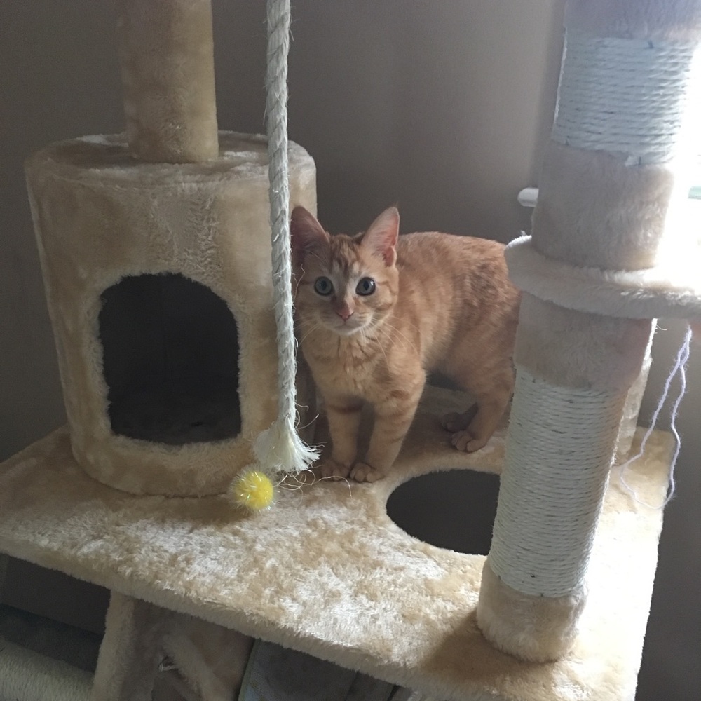 Meet your Posher, Molly